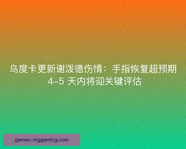乌度卡更新谢泼德伤情：手指恢复超预期 4-5 天内将迎关键评估